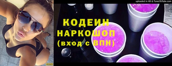 прущие грибы Алзамай