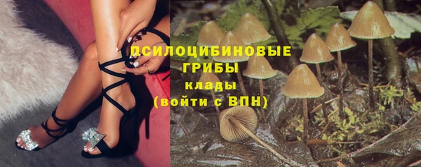 прущие грибы Алзамай