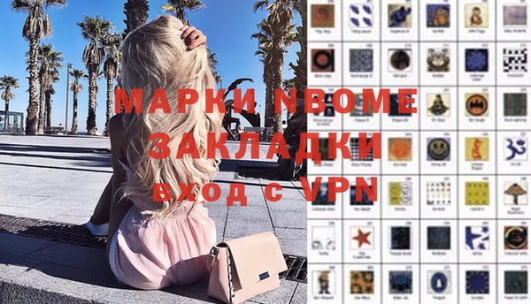 прущие грибы Алзамай