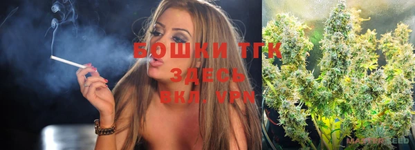 прущие грибы Алзамай