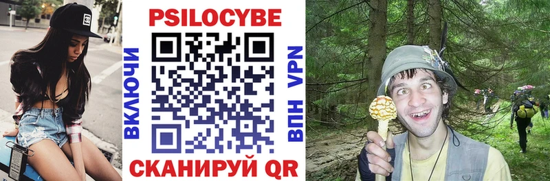 цена   Краснознаменск  Псилоцибиновые грибы Psilocybine cubensis 