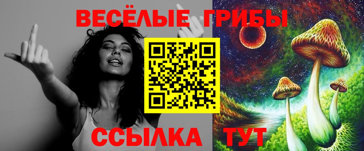 Псилоцибиновые грибы прущие грибы  Вход с VPN  Краснознаменск 