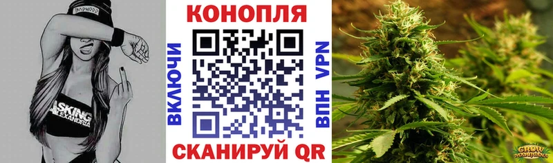 Бошки Шишки конопля  Краснознаменск 